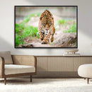 Leopard on the Prowl - Stunning Large Framed Leopard Wall