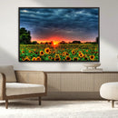 Golden Sunflower Field at Sunset – Breathtaking Sky and