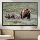 Wildlife Photography of 399 Grizzly Bear Cubs | Queen of the