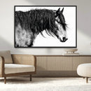 Majestic Horse Wall Art – Framed Black White Portrait Canvas by MyGreatCanvas | Canvas Wall Art Prints | Photo Prints & Wall Decor