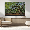 Historic Tree Wall Art – Framed Mossy Branch Canvas Artwork, by MyGreatCanvas | Canvas Wall Art Prints | Photo Prints & Wall Decor