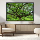 Angel Oak Tree Wall Art Canvas Print – Framed Majestic