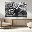 Ancient Oak Wall Art Canvas Print – Gnarled Tree Twisted by MyGreatCanvas | Canvas Wall Art Prints | Photo Prints & Wall Decor