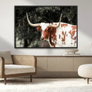 Texas Longhorn Wall Art Canvas Print – Framed Spotted Bull