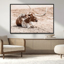 Texas Longhorn Wall Art Canvas Print – Framed Resting Bull by MyGreatCanvas | Canvas Wall Art Prints | Photo Prints & Wall Decor