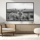 Monochrome Highland Cow Wall Art Canvas Print – Framed by MyGreatCanvas | Canvas Wall Art Prints | Photo Prints & Wall Decor