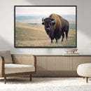 Bison Wall Art Canvas Print – Framed Buffalo American Bison