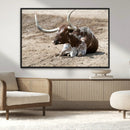 Texas Longhorn Wall Art Canvas Print – Framed Country Living