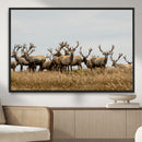 Elk Herd Wall Art Canvas Print – Framed Wildlife Photography