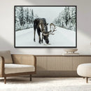 Moose Snow Wall Art Canvas Print – Framed Winter Wildlife