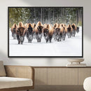 American Bison Herd Wall Art Canvas Print – Powerful Winter by MyGreatCanvas | Canvas Wall Art Prints | Photo Prints & Wall Decor