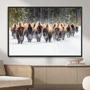 Bison Herd Scene Wall Art Canvas Print – Framed Western by MyGreatCanvas | Canvas Wall Art Prints | Photo Prints & Wall Decor