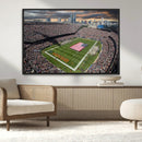 Chicago Bears Soldiers Field Wall Art Canvas Print – Framed