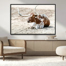 Majestic Longhorn Wall Art Canvas Print – Resting on Sunlit by MyGreatCanvas | Canvas Wall Art Prints | Photo Prints & Wall Decor