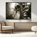 Misty Forest Tall Trees Foggy Atmosphere Nature Serenity by MyGreatCanvas | Canvas Wall Art Prints | Photo Prints & Wall Decor