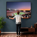 Dooley Stadium Wall Art, Sports Arena Canvas Print, Dooley