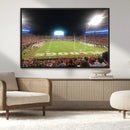 Dooley Stadium Wall Art, Sports Arena Panoramic Canvas by MyGreatCanvas | Canvas Wall Art Prints | Photo Prints & Wall Decor