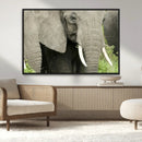 Wild Elephant Wall Art Canvas Print by MyGreatCanvas | Canvas Wall Art Prints | Photo Prints & Wall Decor