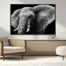 Big Elephant Close Up Wall Art Canvas Print