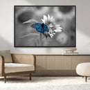 Blue Butterfly Black and White Canvas Wall Art by MyGreatCanvas | Canvas Wall Art Prints | Photo Prints & Wall Decor