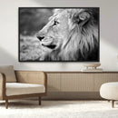 African Lion Wall Art Canvas Print – Majestic Wildlife