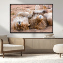 Lion Pair Wall Art Canvas Print – Framed Wildlife Scene with