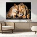 Lion and Lioness Wall Art Canvas Print – Framed African