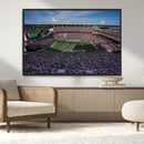 South Carolina Gamecocks Football Team Print - Columbia