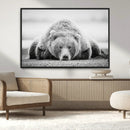 Resting Grizzly Bear Wall Art Canvas Print – Majestic Lazy by MyGreatCanvas | Canvas Wall Art Prints | Photo Prints & Wall Decor