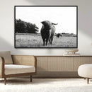 Black and White Highland Cow Wall Art Canvas Print | Rustic
