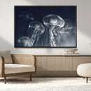 Jellyfish Wall Art Canvas Print, Modern Abstract Jellyfish