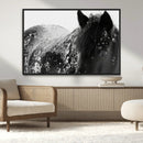 Black Horse in Snow Canvas Print | Winter Horse Wall Art |