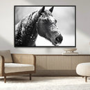 Horse Canvas Print - Winter Horse Snow Wall Art Canvas Print