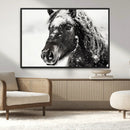 Framed Black and White Horse Wall Art | Ready to Hang and by MyGreatCanvas | Canvas Wall Art Prints | Photo Prints & Wall Decor
