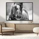 Black and White Horse Winter Wall Art | Ready to Hang and