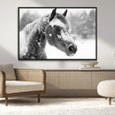 Black Horse Winter Wall Art | Ready to Hang and Framed |