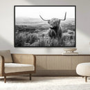 Scottish Highland Cow Wall Art | Black and White Canvas