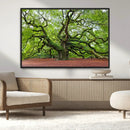 Framed Angel Oak Tree Wall Art - 3-Panel Canvas Prints,