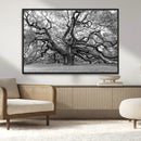 Black White Angel Oak Tree Wall Art - Timeless