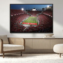 Ohio State University Buckeyes Football Team Print -