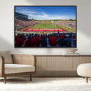 Ball State Cardinals Football Team Print - Muncie Scheumann