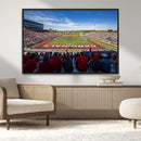 Ball State Cardinals Football Team Print - Muncie Scheumann