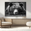 Resting Grizzly 399 Bear Canvas Print | Ready to Hang Wall