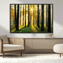Sunlit Forest Wall Art Canvas Print – Large Framed Woodland