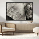 Elephant Wall Art Canvas Print