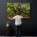 Angel Oak Tree Wall Art Canvas Print | Forest Tree Nature