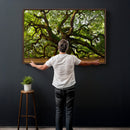 Angel Oak Tree Wall Art Canvas Print | Forest Tree Nature