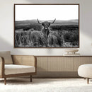 Black and White Highland Cow Canvas Wall Art, Longhorn by MyGreatCanvas | Canvas Wall Art Prints | Photo Prints & Wall Decor