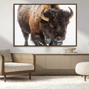 Bison Wall Art Canvas Print For Farmhouse, Wild Animal Wall by MyGreatCanvas | Canvas Wall Art Prints | Photo Prints & Wall Decor