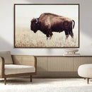 Bison in Field Wall Art Canvas Print For Farmhouse Barn